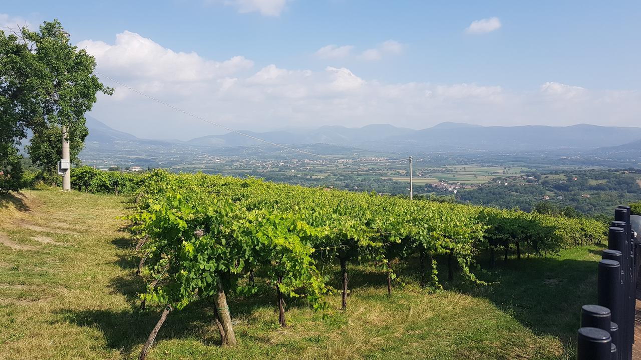 Lisandro Wine Resort Apartments Caserta Castel Campagnano Екстер'єр фото