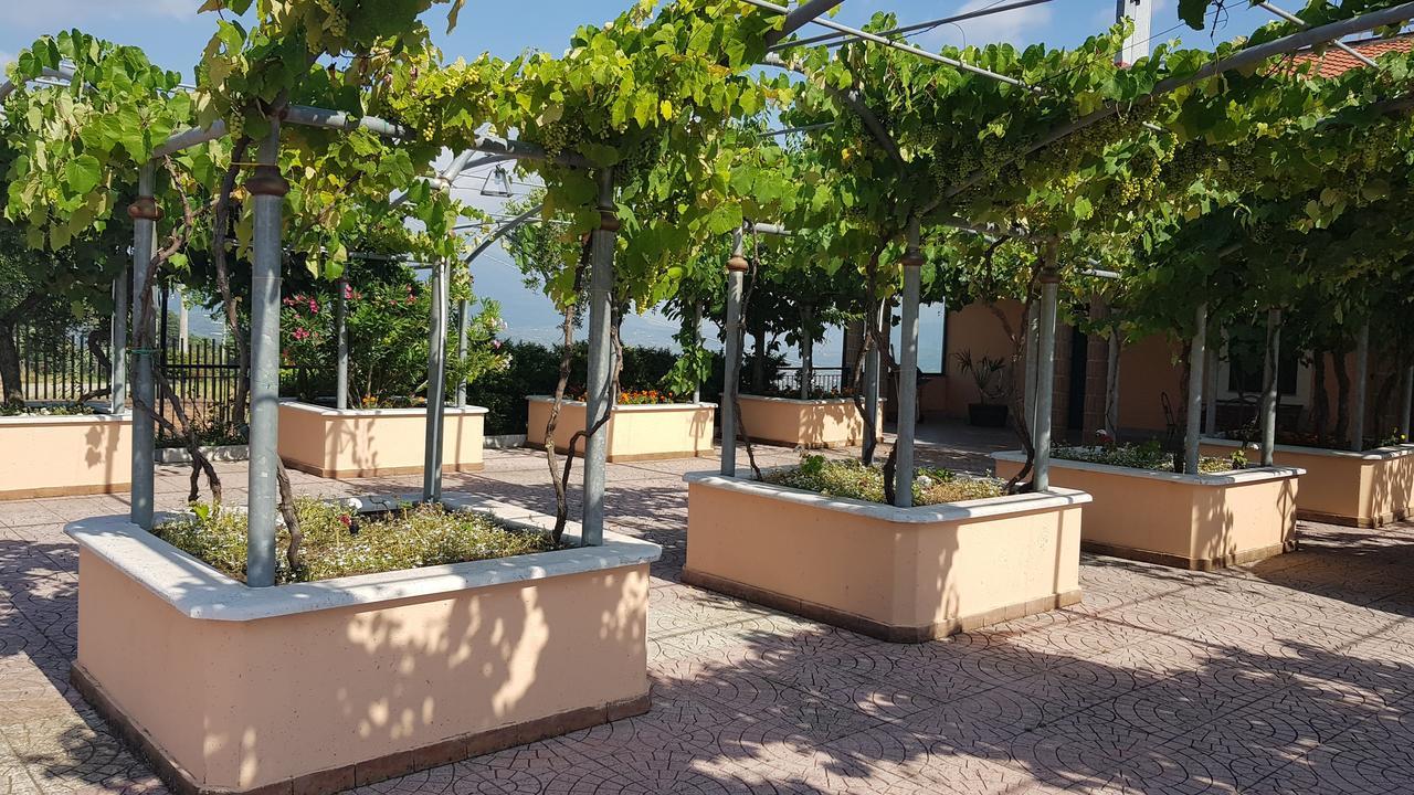 Lisandro Wine Resort Apartments Caserta Castel Campagnano Екстер'єр фото