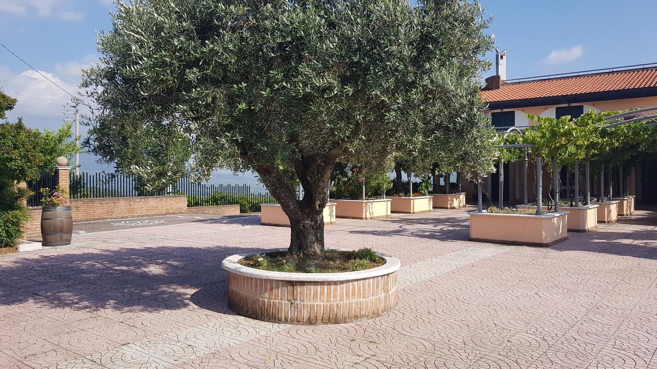 Lisandro Wine Resort Apartments Caserta Castel Campagnano Екстер'єр фото