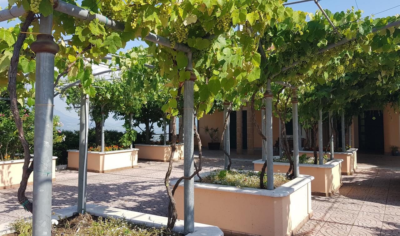 Lisandro Wine Resort Apartments Caserta Castel Campagnano Екстер'єр фото