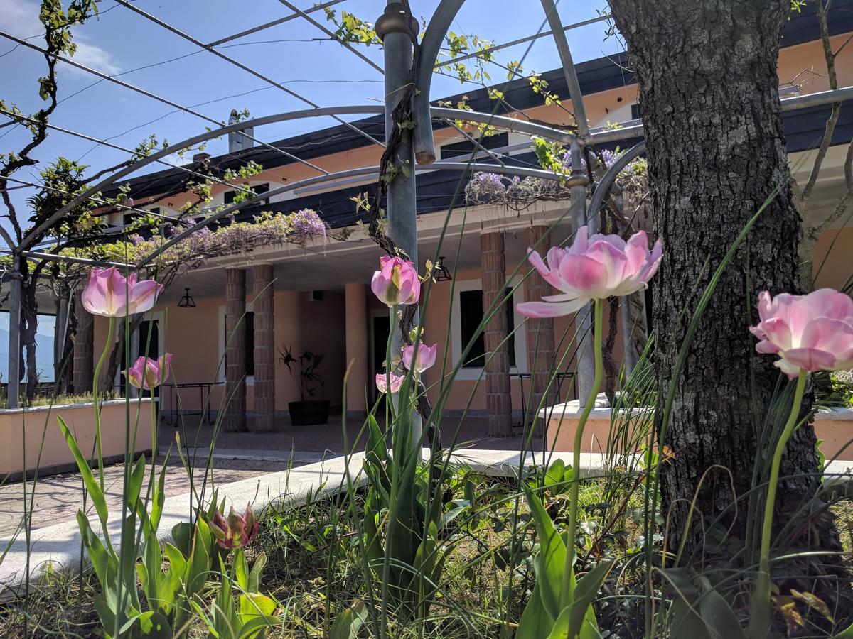 Lisandro Wine Resort Apartments Caserta Castel Campagnano Екстер'єр фото